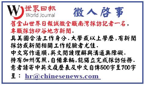 沙井最新临时工招聘，观点论述与岗位信息全解析