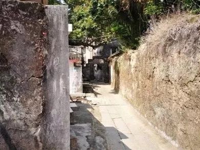 业务领域 第7页