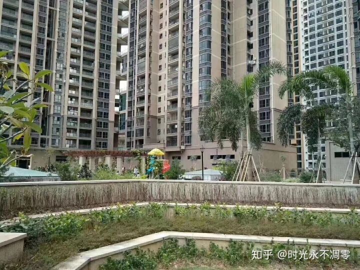 深圳小产权房最新消息深度解析，不可不知的事实📢