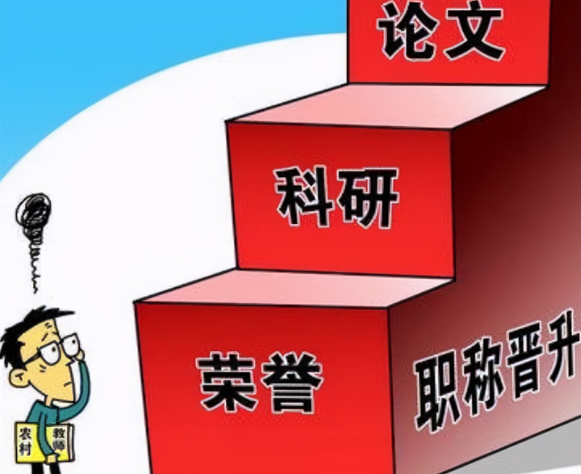 帕拉丁最新动态，小巷中的隐藏瑰宝揭秘