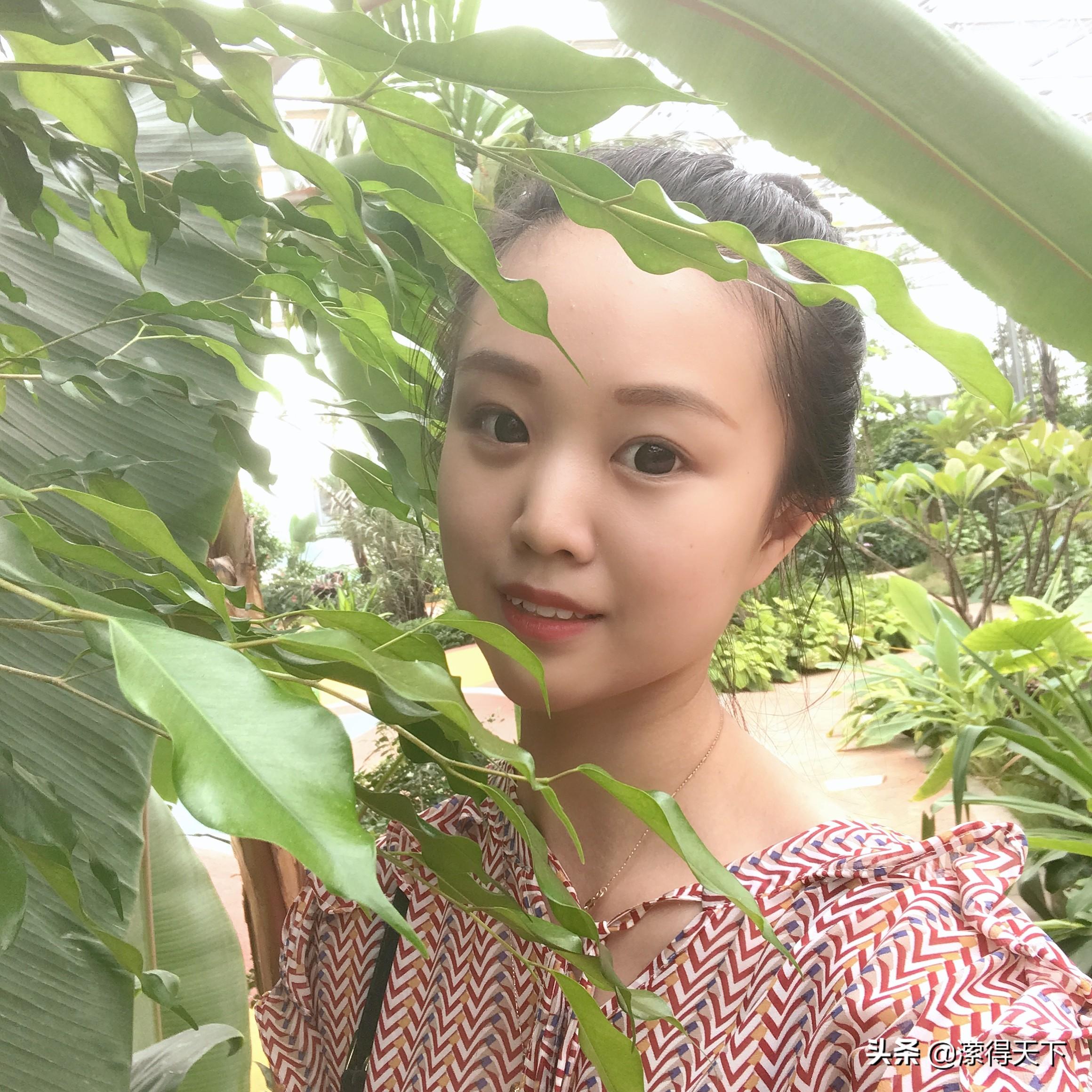 魏县最新招聘信息发布，启程探索自然美景与职业机遇